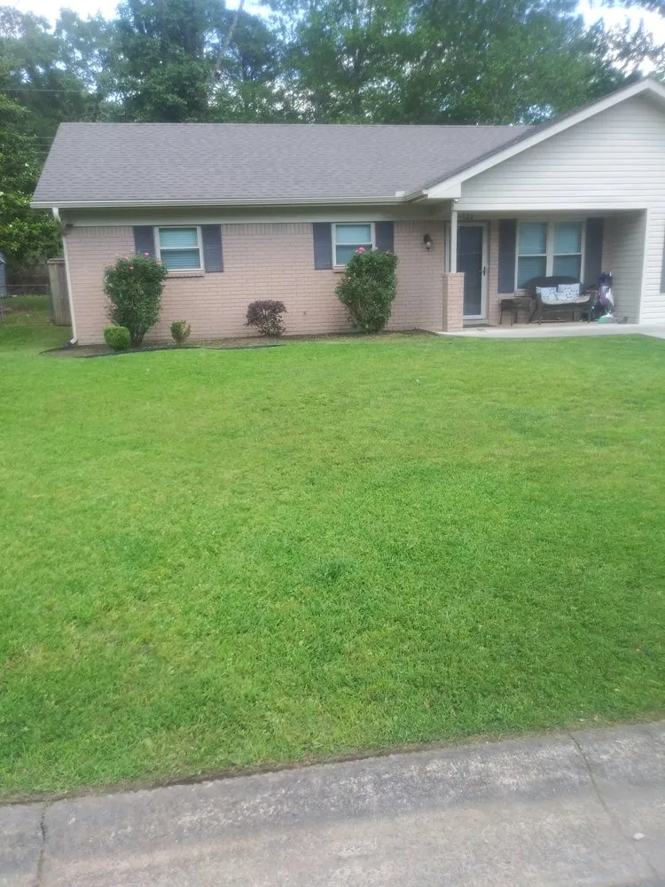 Professional yard cleanup service in Little Rock, AR - Sod And More