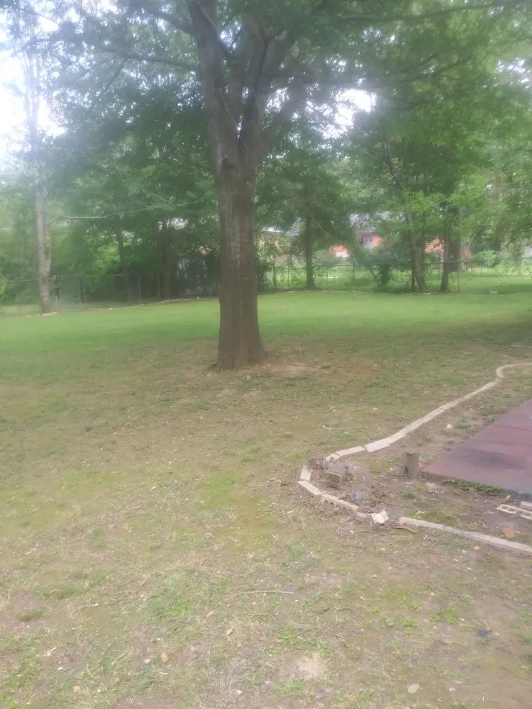 Local yard maintenance in Little Rock, AR - Sod And More