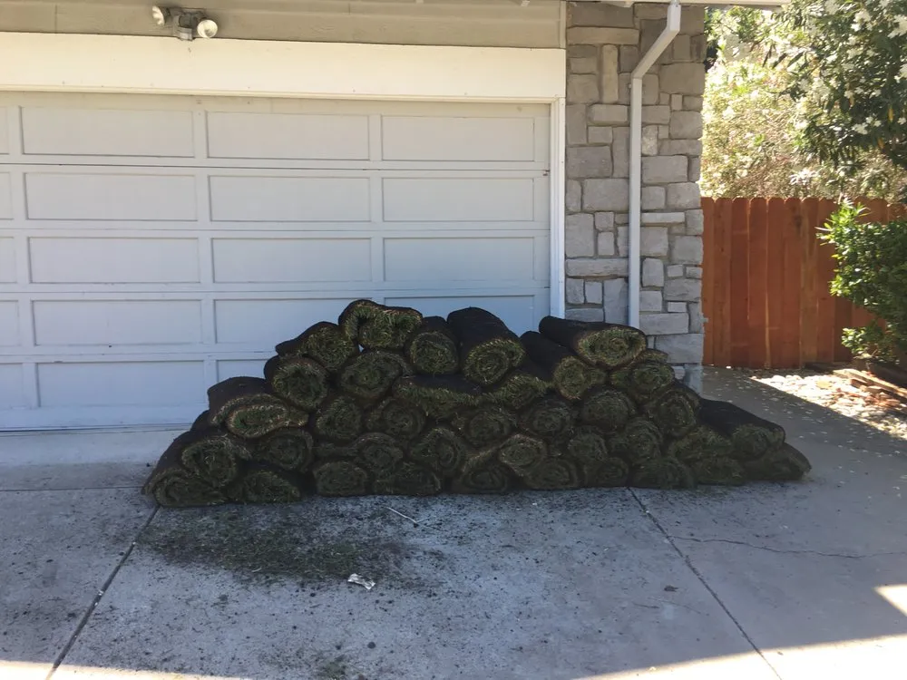 Reliable landscaping services for beautiful yards in Concord, CA by Sod And Seed