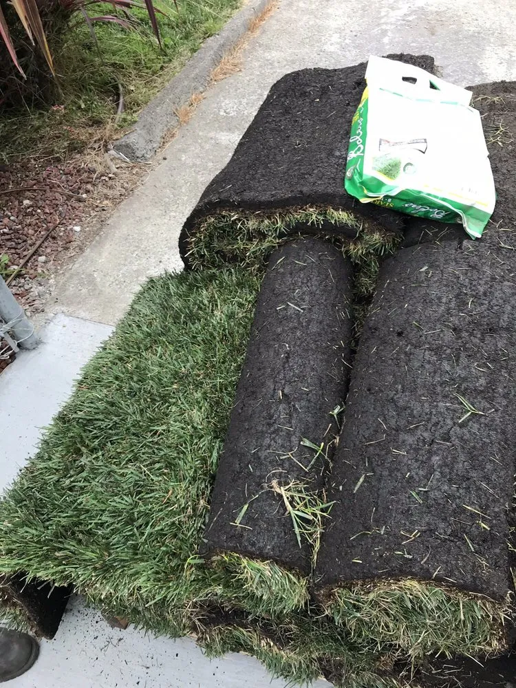 Professional landscaping services in Concord, CA by Sod And Seed