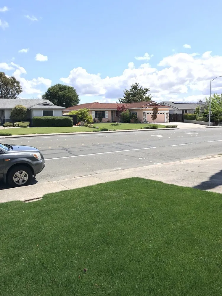 Trusted landscaping services for beautiful yards in Concord, CA by Sod And Seed