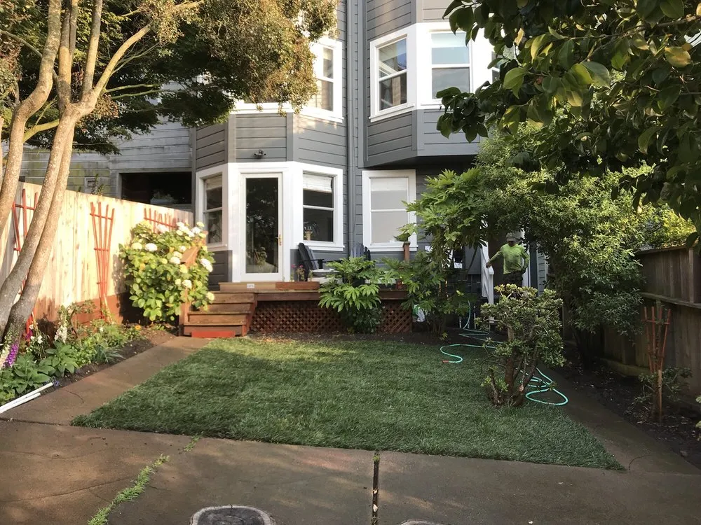 Trusted yard maintenance for homes in Concord, CA by Sod And Seed