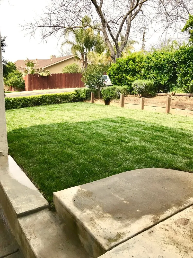 Top-rated landscaping services in Concord, CA by Sod And Seed