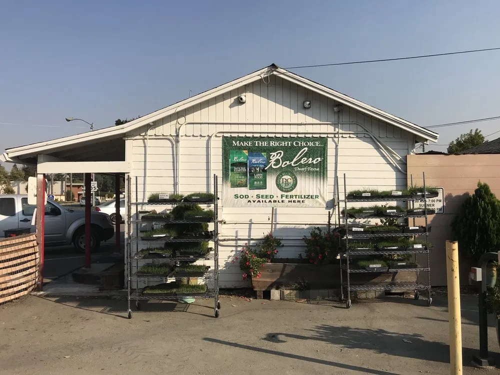 Custom landscaping services near you in Concord, CA by Sod And Seed