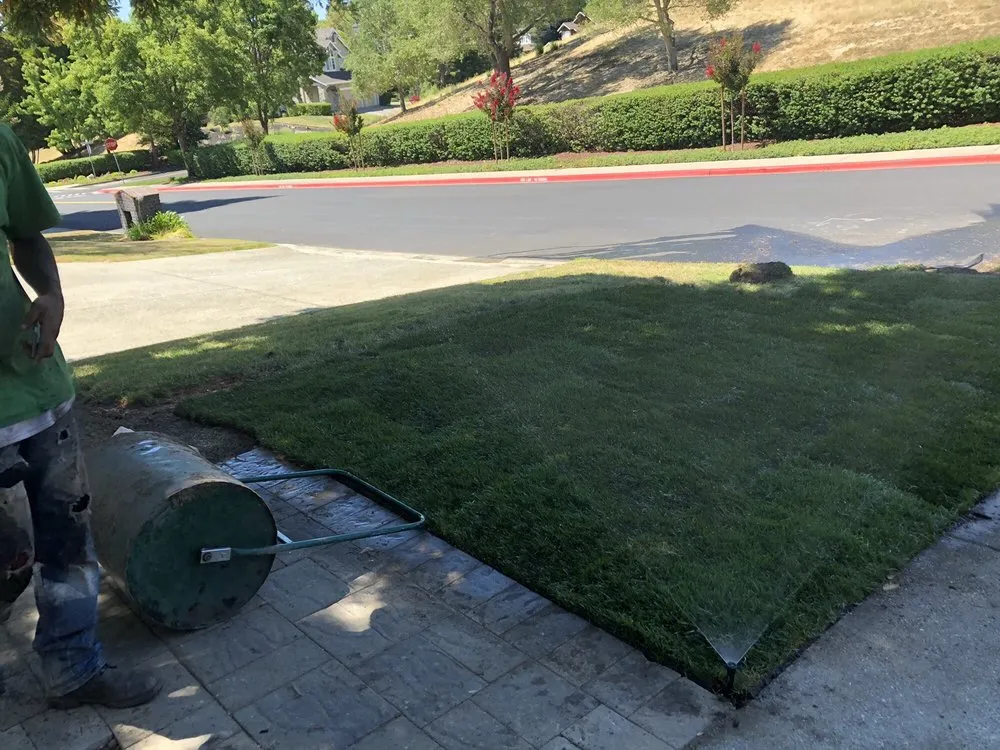 Affordable landscaping services for homes across Concord, CA - Sod And Seed