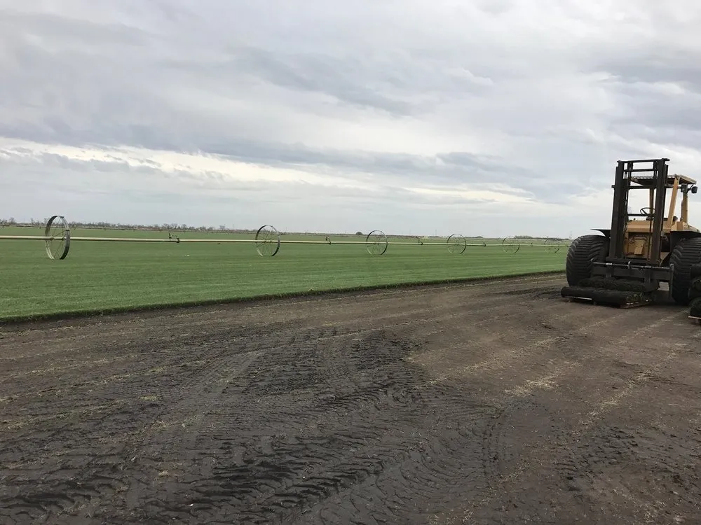 Reliable landscape design in Concord, CA by Sod And Seed