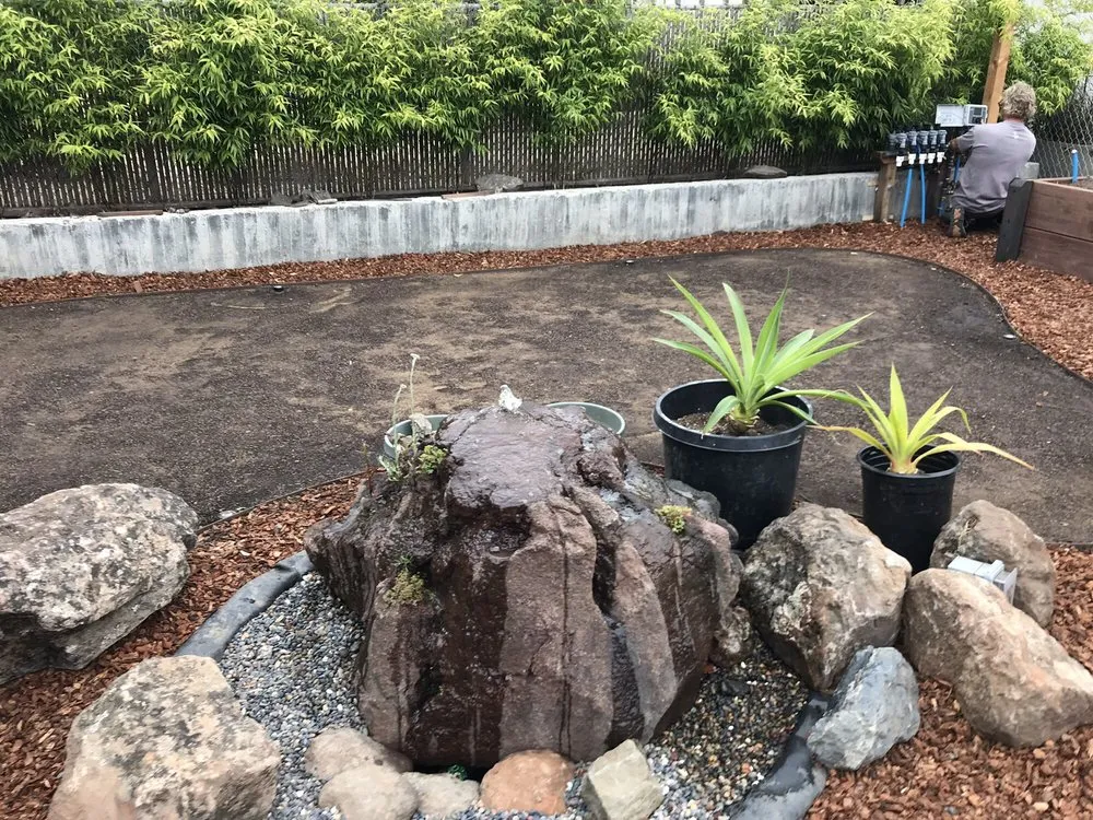 Reliable lawn care service in Concord, CA - Sod And Seed