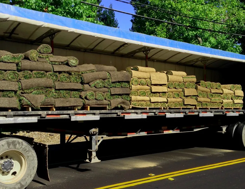 Trusted outdoor landscaping for residential properties across Concord, CA - Sod And Seed