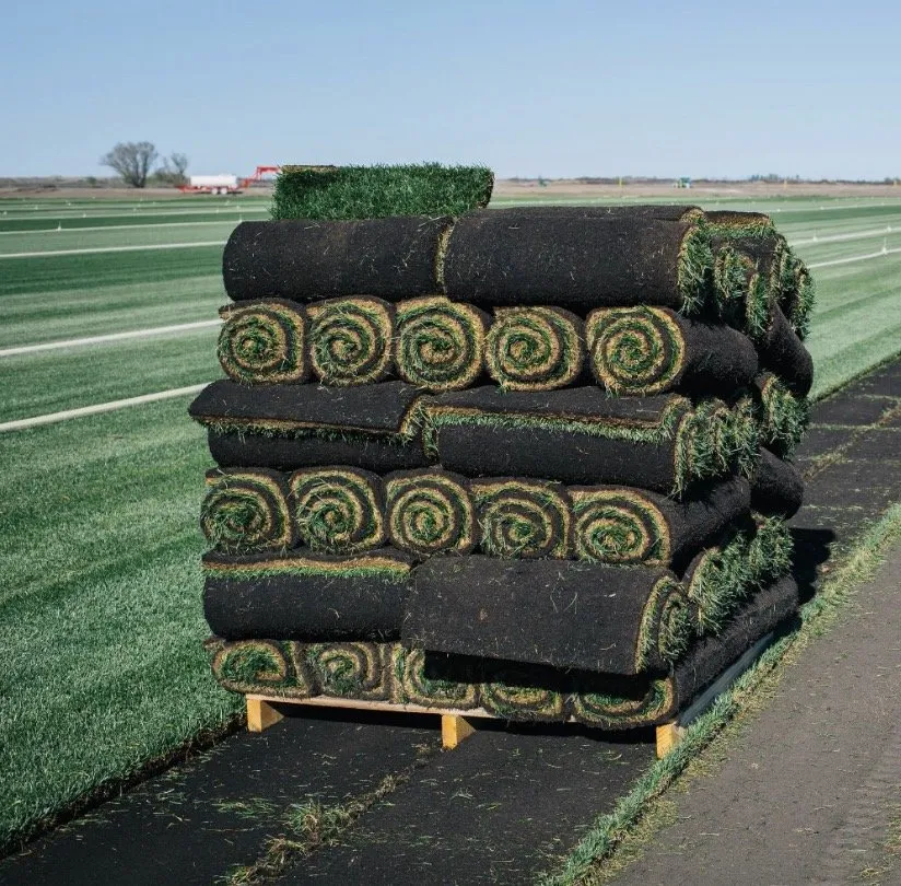 Trusted landscape installation for beautiful yards in Concord, CA by Sod And Seed