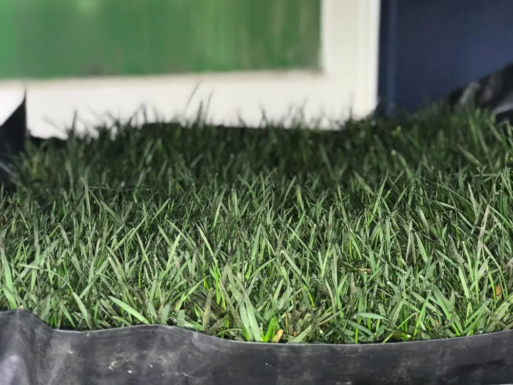 Top-rated garden landscaping in Concord, CA - Sod And Seed