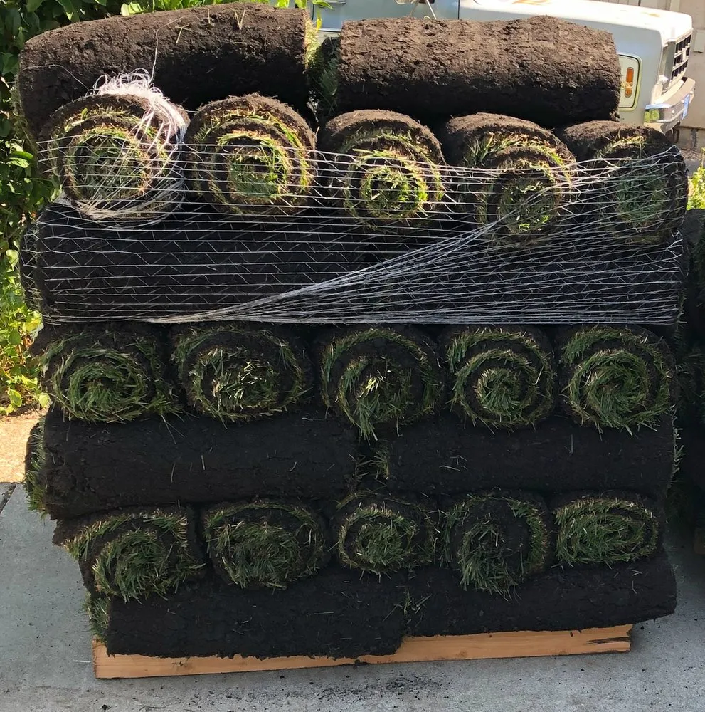 Top-rated landscape design in Los Angeles, CA - Sod and Seed