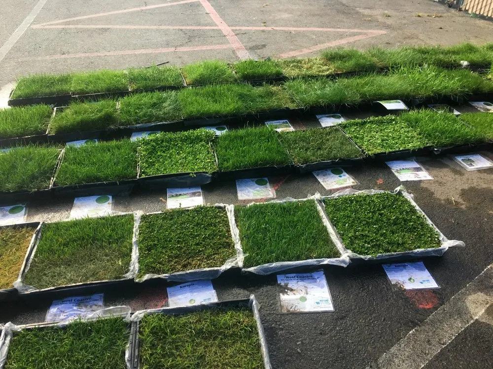 Custom lawn care service near you in Los Angeles, CA by Sod and Seed