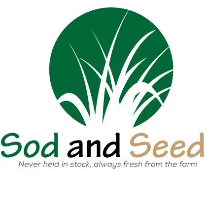 Top-rated residential landscaping experts serving Los Angeles, CA - Sod and Seed