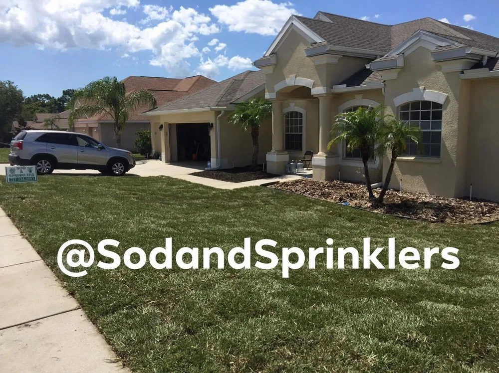 Affordable yard cleanup service in Port Richey, FL by Sod And Sprinklers