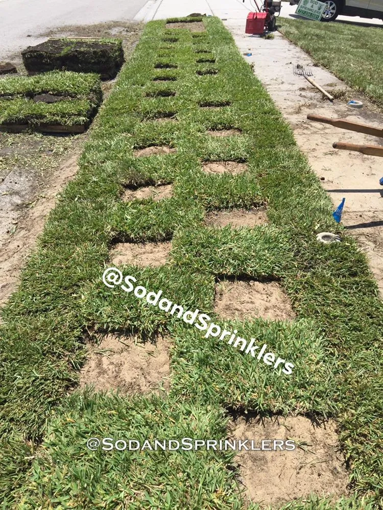 Expert lawn care service for year-round maintenance in Port Richey, FL by Sod And Sprinklers