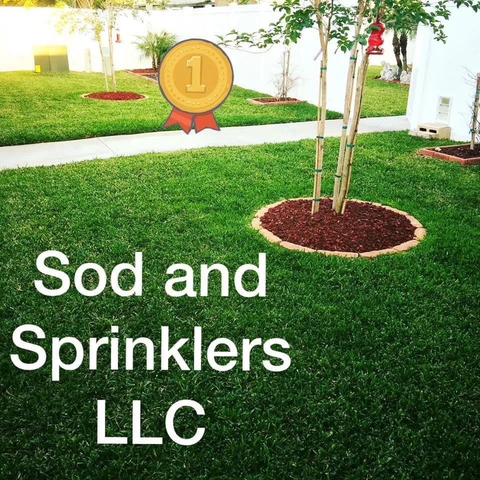 Local lawn care service experts serving Port Richey, FL - Sod And Sprinklers