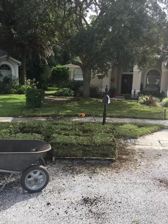 Top-rated garden landscaping for beautiful yards across Port Richey, FL - Sod And Sprinklers