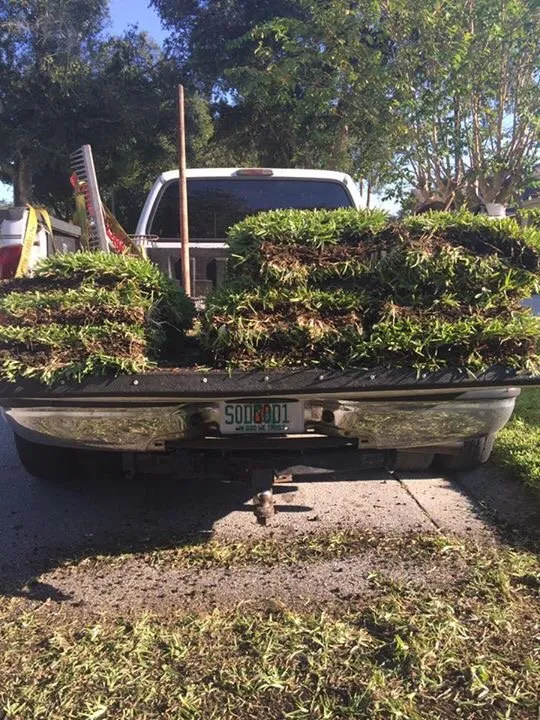 Custom yard maintenance in Port Richey, FL by Sod And Sprinklers