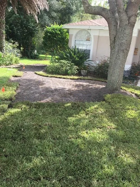 Trusted landscaping services in Port Richey, FL by Sod And Sprinklers