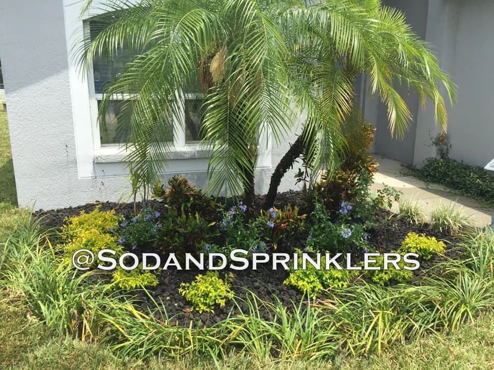 Top-rated yard maintenance in Port Richey, FL - Sod And Sprinklers