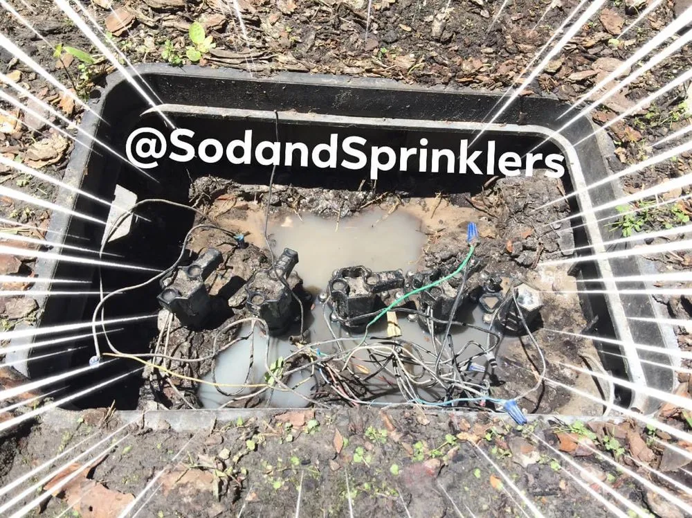 Trusted landscape installation experts serving Port Richey, FL - Sod And Sprinklers