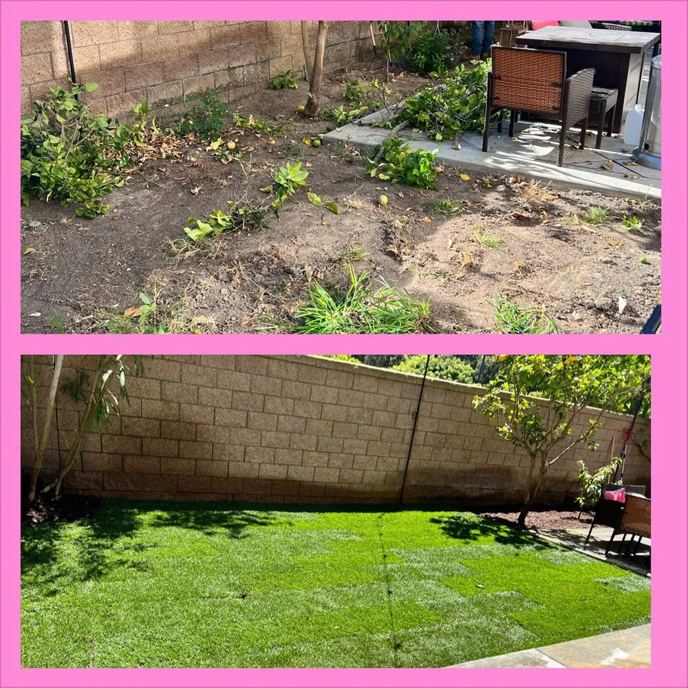Custom landscape installation for year-round maintenance in Costa Mesa, CA by Sod and Turf Pros