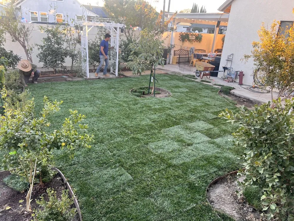 Professional landscape installation in Costa Mesa, CA - Sod and Turf Pros