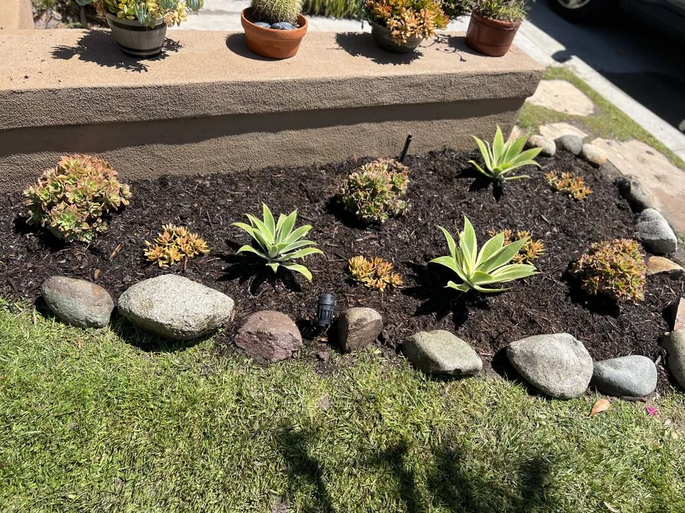 Reliable landscaping services for residential properties across Costa Mesa, CA - Sod and Turf Pros