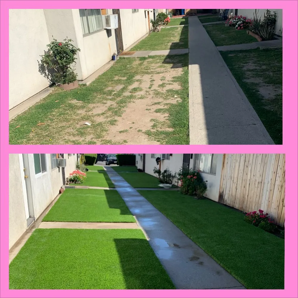 Local landscape design in Costa Mesa, CA - Sod and Turf Pros