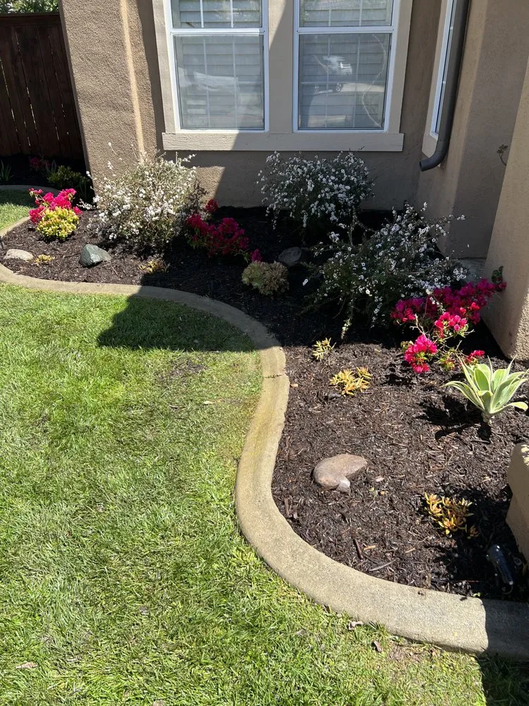 Affordable lawn mowing service for year-round maintenance across Costa Mesa, CA - Sod and Turf Pros