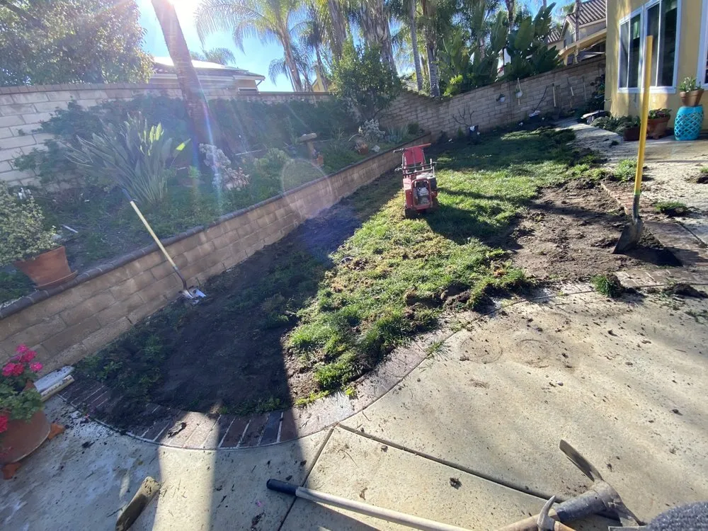 Reliable yard cleanup service experts serving Costa Mesa, CA - Sod and Turf Pros