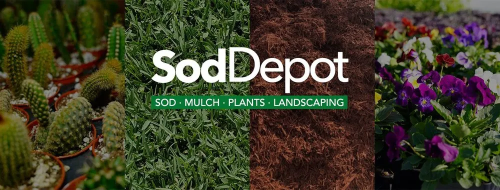 Local yard maintenance in Longwood, FL - Sod Depot - Longwood
