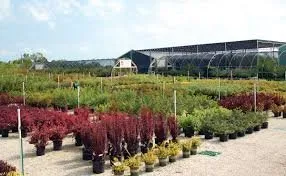 Custom landscaping services in Longwood, FL - Sod Depot - Longwood