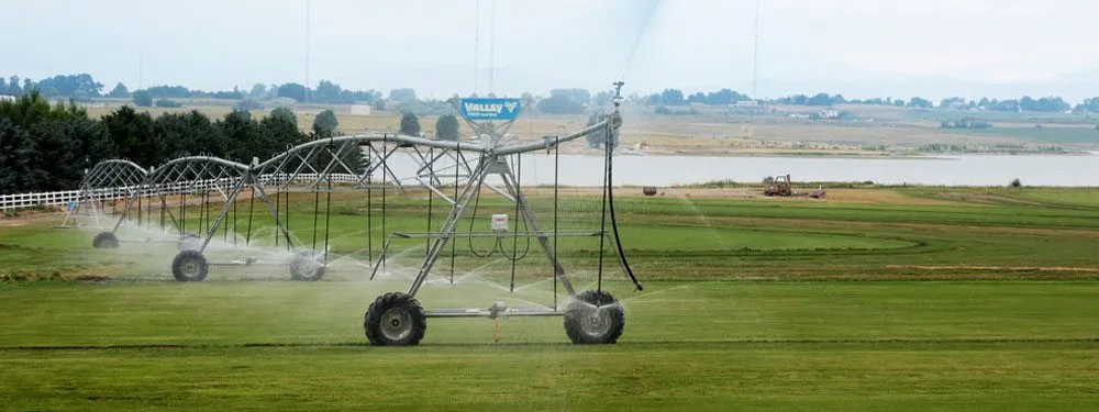 Affordable yard cleanup service for outdoor upgrades across Orlando, FL - Sod Depot of Orlando