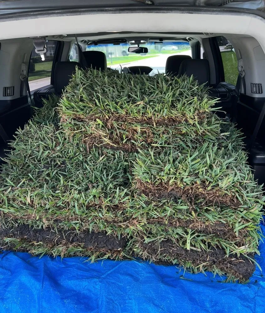 Expert lawn mowing service for year-round maintenance in Orlando, FL by Sod Depot of Orlando