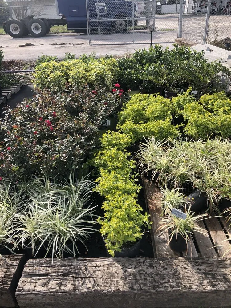 Local landscape installation experts serving Orlando, FL - Sod Depot of Orlando