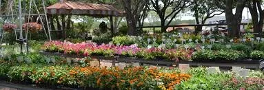 Top-rated landscape design in Orlando, FL by Sod Depot of Orlando