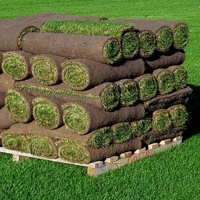 Expert yard cleanup service in Fort Myers, FL - Sod Dude