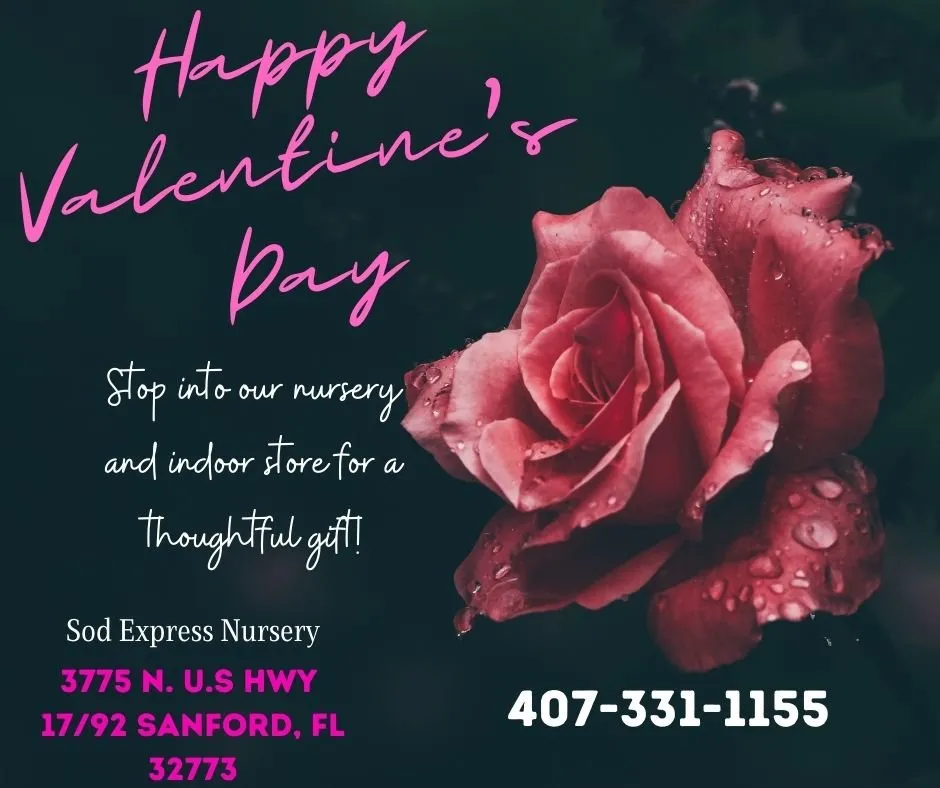 Professional landscape design near you in Sanford, FL by Sod Express Nursery