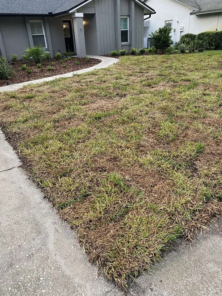 Trusted lawn mowing service for beautiful yards across Sanford, FL - Sod Express Nursery