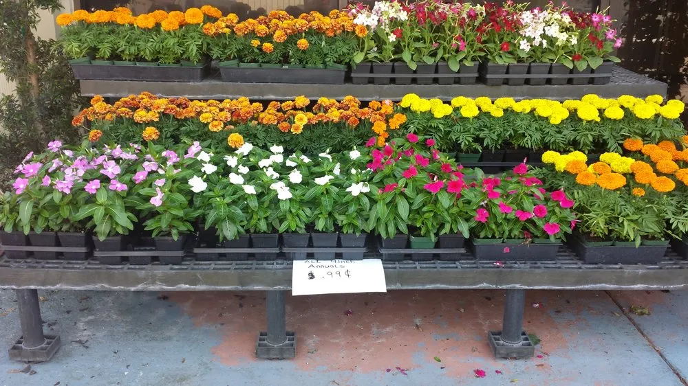 Trusted yard maintenance experts serving Sanford, FL - Sod Express Nursery