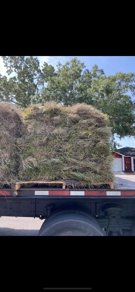 Affordable yard maintenance experts serving Sanford, FL - Sod Express Nursery