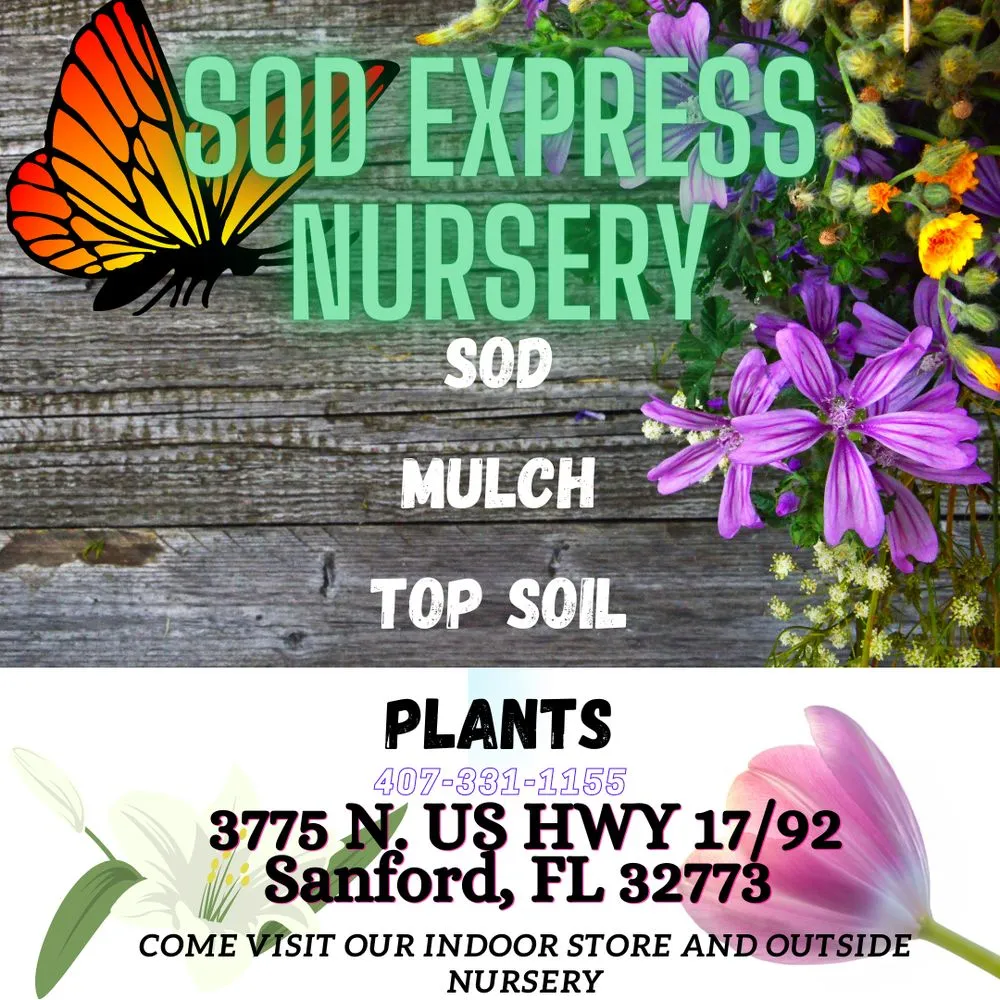 Trusted yard maintenance experts serving Sanford, FL - Sod Express Nursery