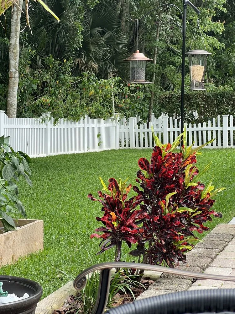 Affordable garden landscaping for beautiful yards across Sanford, FL - Sod Express Nursery