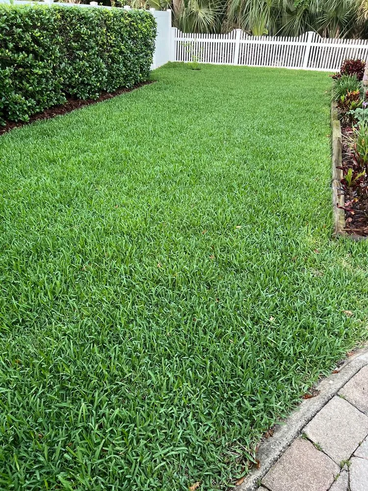 Custom outdoor landscaping in Sanford, FL by Sod Express Nursery