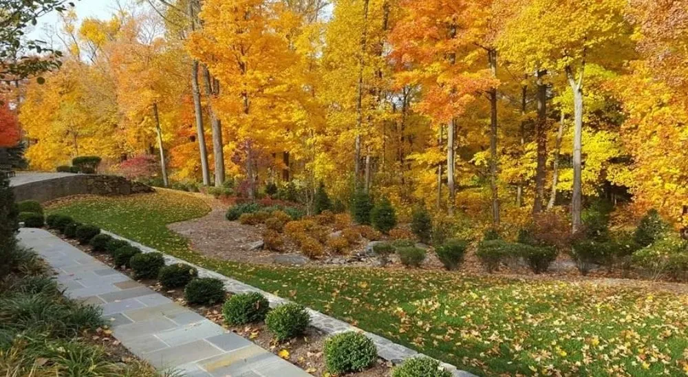 Custom lawn mowing service in White Plains, NY by Sod Father Landscaping