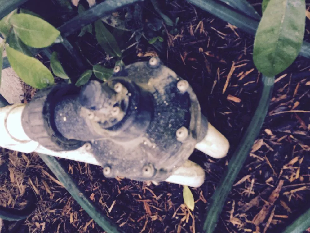 Trusted yard cleanup service in Boynton Beach, FL by Sod Father's Sprinkler Service