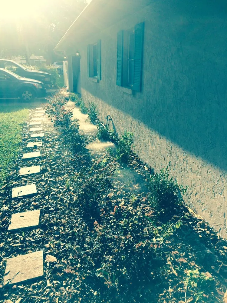 Affordable yard cleanup service near you across Boynton Beach, FL - Sod Father's Sprinkler Service