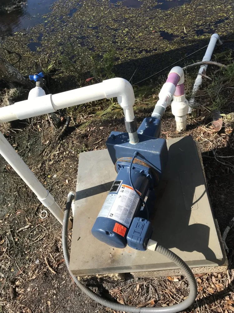 Custom landscaping services in New Port Richey, FL by Sod God