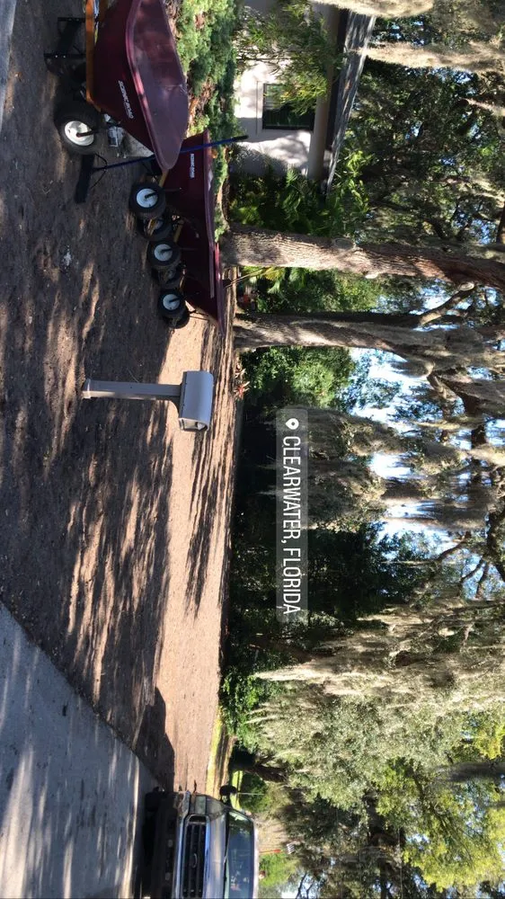 Reliable yard maintenance experts serving New Port Richey, FL - Sod God